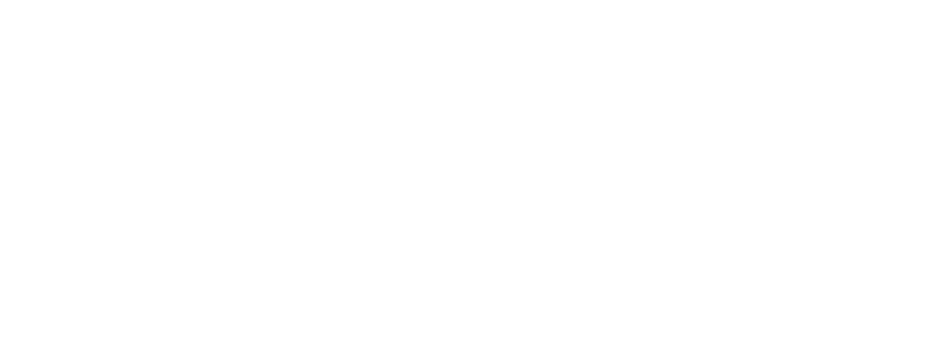 RS 4 Development